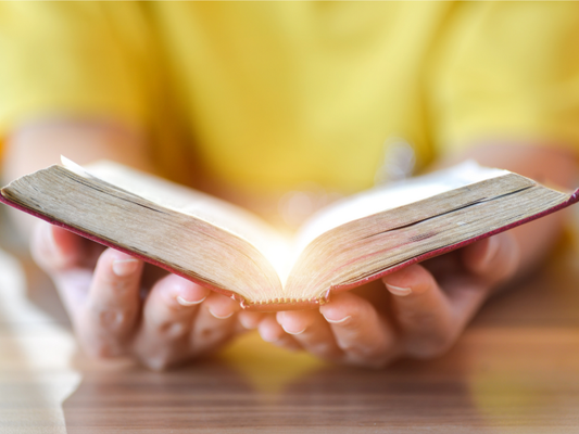 Divine Life Readings