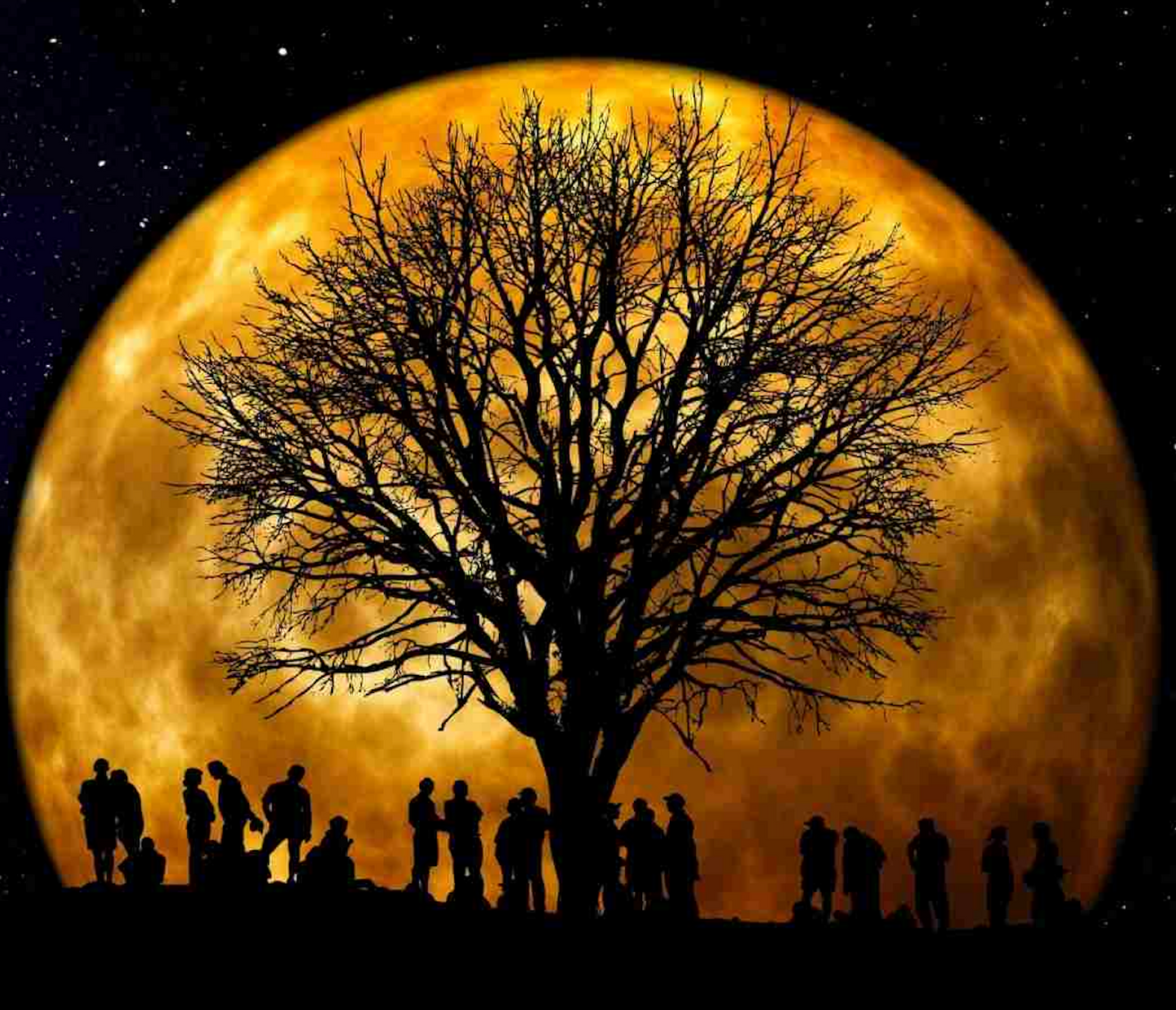 The New Human Collective